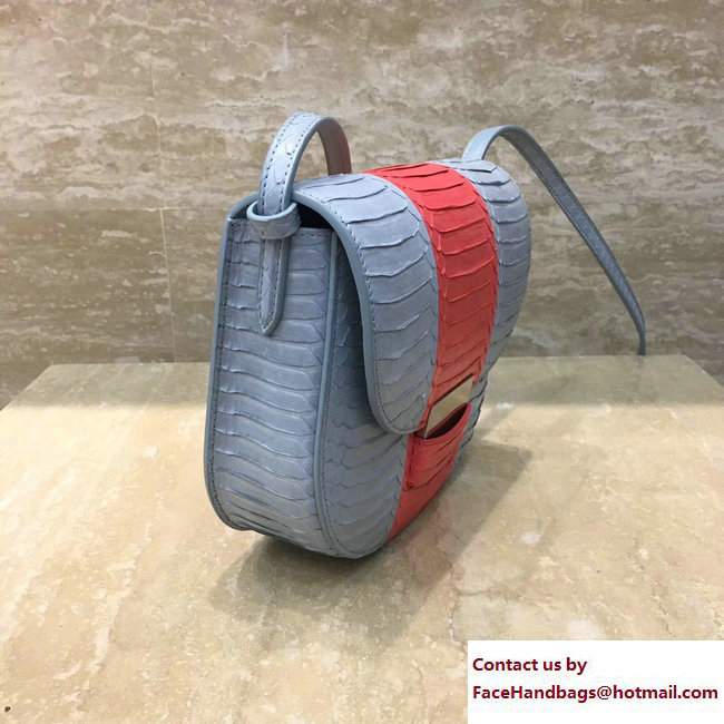 Celine Watersnake Small Trotteur Shoulder Bag Cloud/Poppy 2017