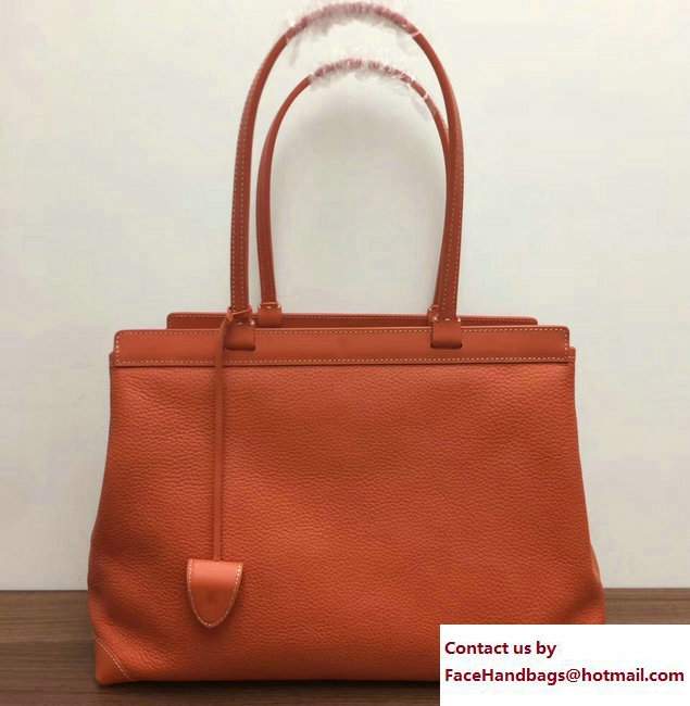 Goyard Bellechasse Biaude Tote Bag Leather Orange