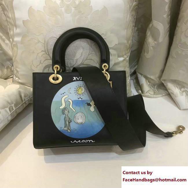 Dior Moon Handpainted Lady Dior Bag Black Cruise 2018