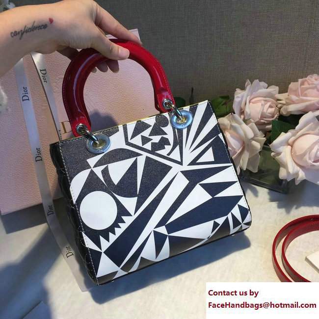 Lady Dior Bag Art Black Cruise 2018