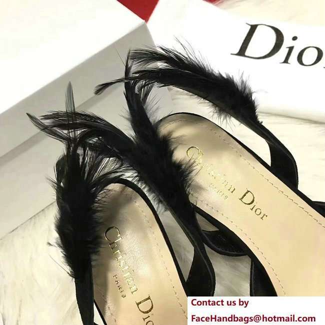 Dior Heel 7cm Sling-Back Shoes In Black Suede Calfskin And Feathers Cruise 2018