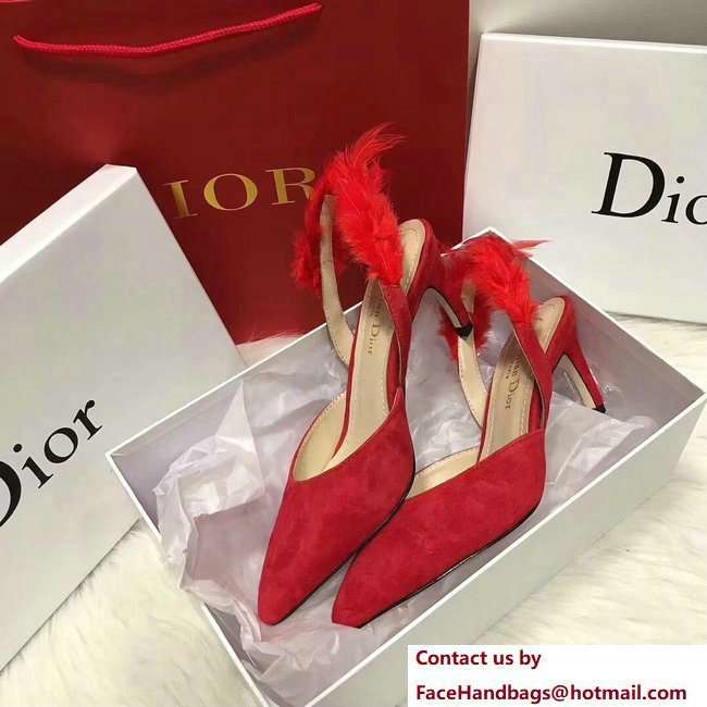 Dior Heel 7cm Sling-Back Shoes In Red Suede Calfskin And Feathers Cruise 2018