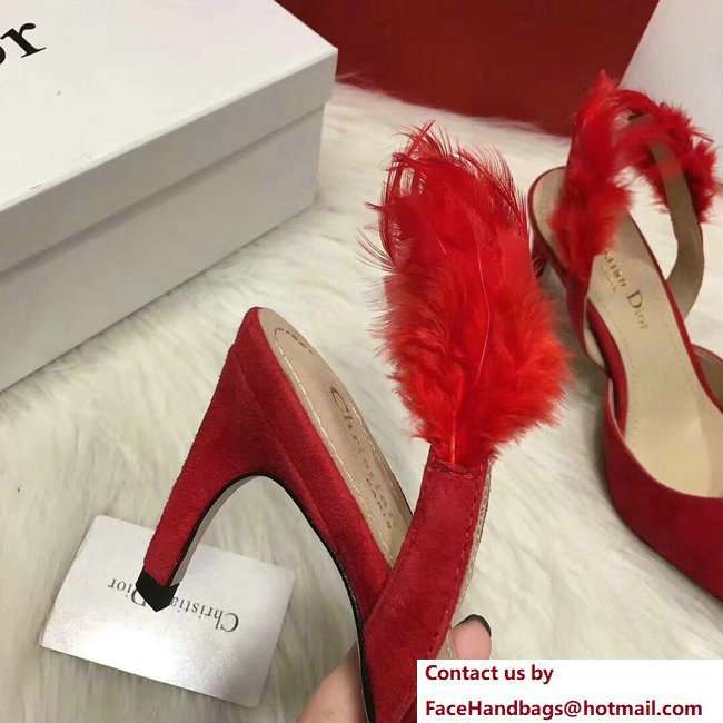 Dior Heel 7cm Sling-Back Shoes In Red Suede Calfskin And Feathers Cruise 2018