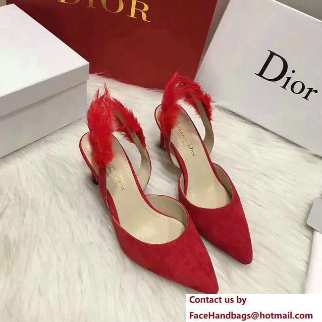 Dior Heel 7cm Sling-Back Shoes In Red Suede Calfskin And Feathers Cruise 2018