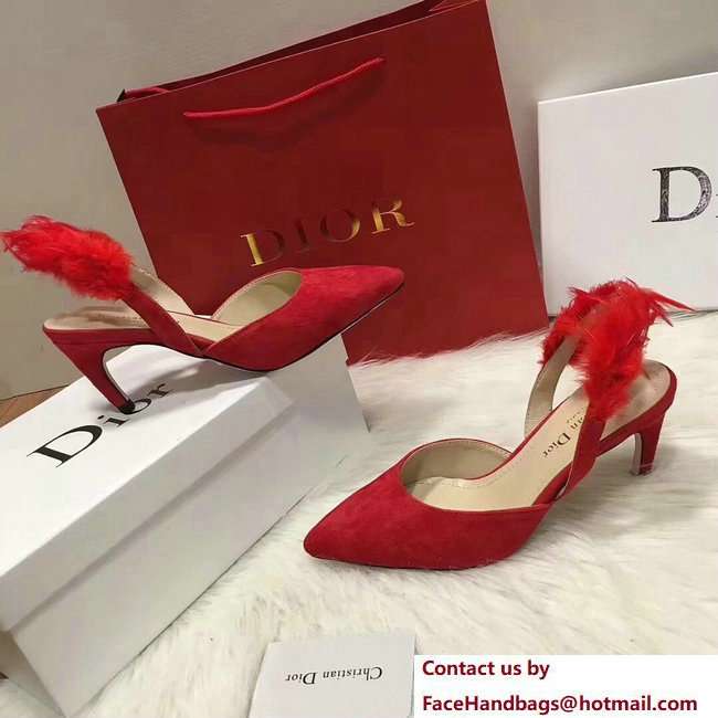 Dior Heel 7cm Sling-Back Shoes In Red Suede Calfskin And Feathers Cruise 2018