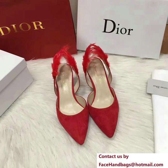 Dior Heel 7cm Sling-Back Shoes In Red Suede Calfskin And Feathers Cruise 2018