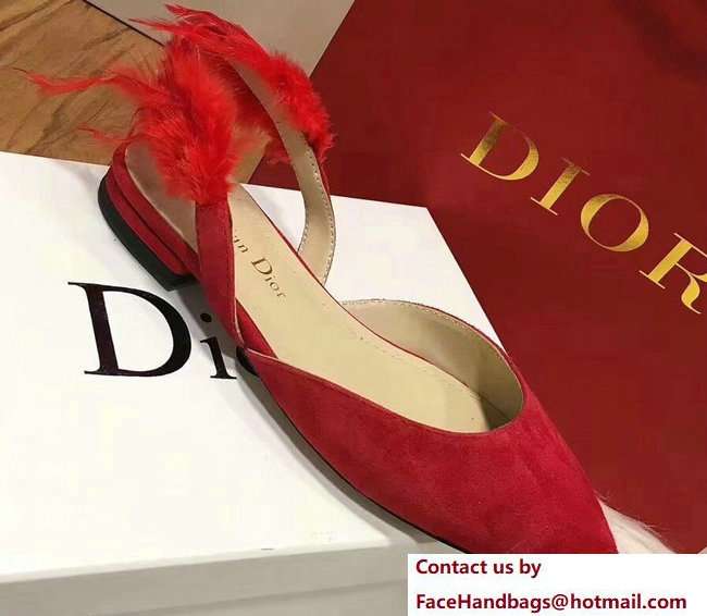 Dior Sling-Back Ballet Pumps In Red Suede Calfskin And Feathers Cruise 2018