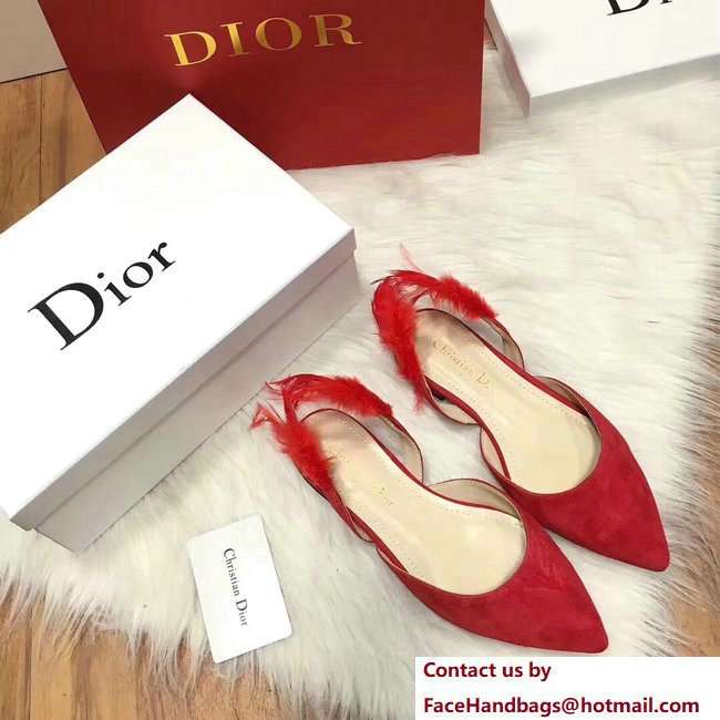 Dior Sling-Back Ballet Pumps In Red Suede Calfskin And Feathers Cruise 2018