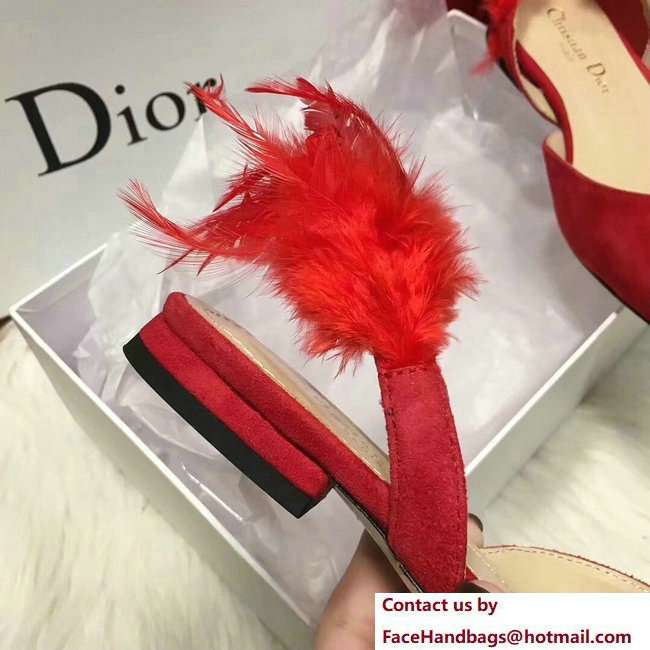 Dior Sling-Back Ballet Pumps In Red Suede Calfskin And Feathers Cruise 2018