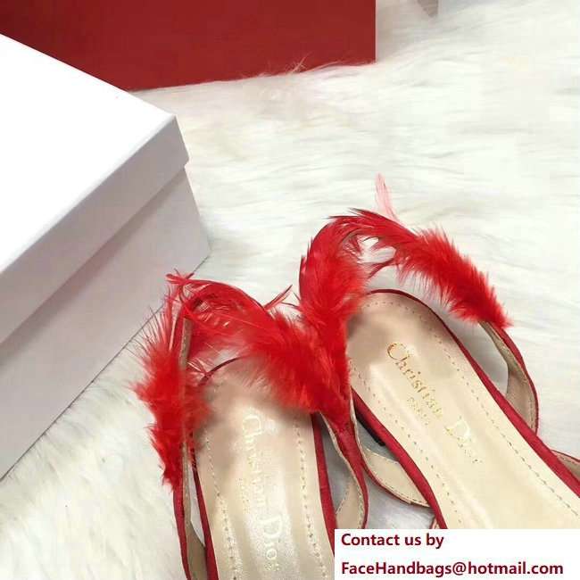 Dior Sling-Back Ballet Pumps In Red Suede Calfskin And Feathers Cruise 2018