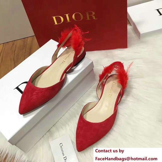 Dior Sling-Back Ballet Pumps In Red Suede Calfskin And Feathers Cruise 2018