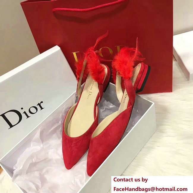 Dior Sling-Back Ballet Pumps In Red Suede Calfskin And Feathers Cruise 2018