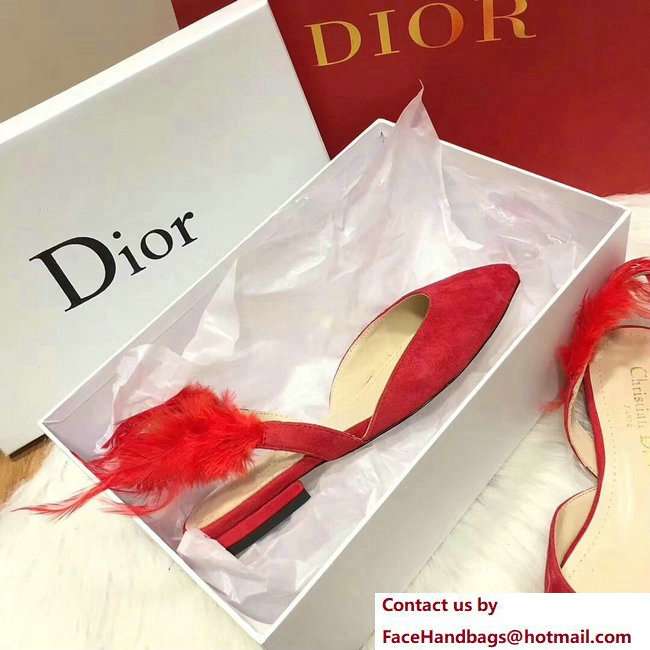 Dior Sling-Back Ballet Pumps In Red Suede Calfskin And Feathers Cruise 2018