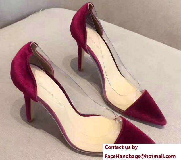 Gianvito Rossi Heel 9.5cm Velvet Plexi Pumps Fuchsia 2018