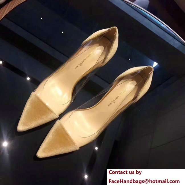 Gianvito Rossi Heel 9.5cm Velvet Plexi Pumps Gold 2018