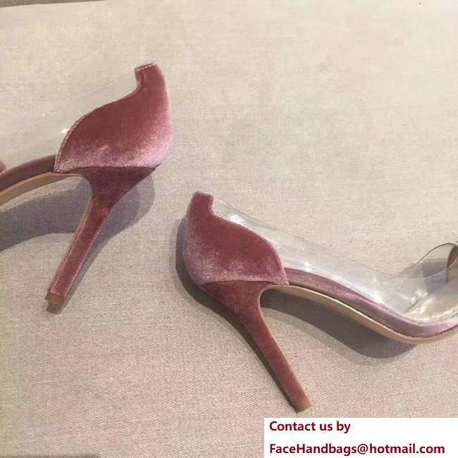 Gianvito Rossi Heel 9.5cm Velvet Plexi Pumps Pink 2018