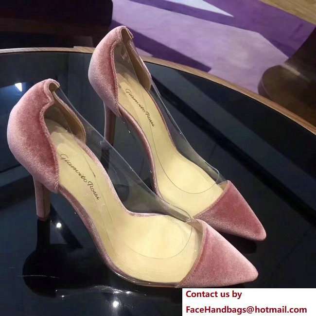 Gianvito Rossi Heel 9.5cm Velvet Plexi Pumps Pink 2018