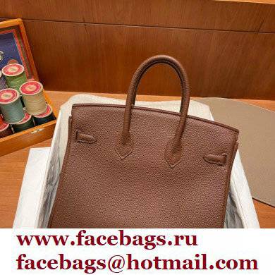 Hermes Birkin 25cm Bag alezan in Original Togo Leather