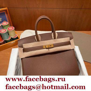 Hermes Birkin 25cm Bag alezan in Original Togo Leather