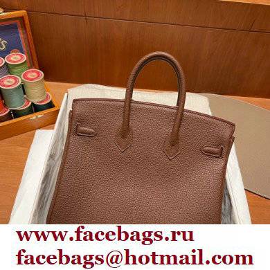 Hermes Birkin 25cm Bag alezan in Original Togo Leather