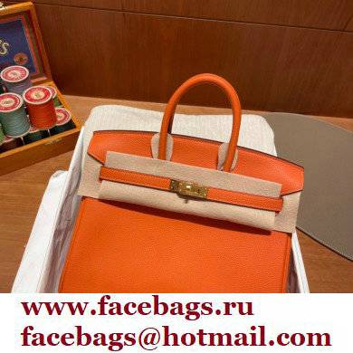 Hermes Birkin 25cm Bag orange in Original Togo Leather