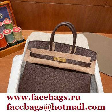 Hermes bicolor Birkin 25cm Bag rouge sellier/yellow in Original Togo Leather