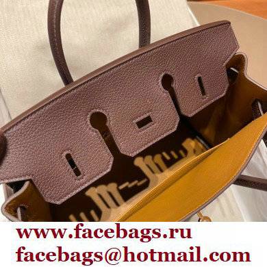 Hermes bicolor Birkin 25cm Bag rouge sellier/yellow in Original Togo Leather