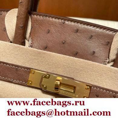 Hermes birkin 25 bag in ostrich leather alezan handmade