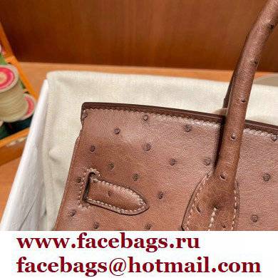 Hermes birkin 25 bag in ostrich leather alezan handmade