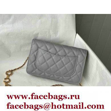 Chanel Grained Calfskin Wallet on Chain WOC Bag with Coco Chain AP2298 Gray 2021