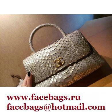 Chanel Python Coco Handle Medium Flap Bag with Top Handle 08