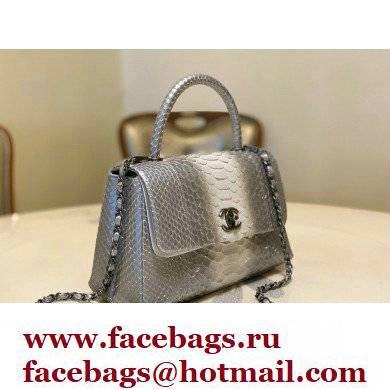 Chanel Python Coco Handle Medium Flap Bag with Top Handle 14