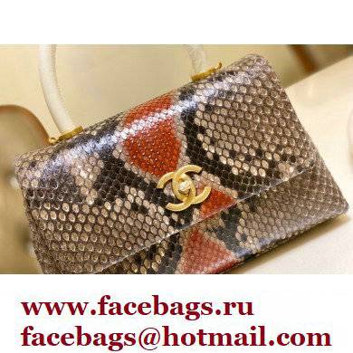 Chanel Python Coco Handle Small Flap Bag with Top Handle 01