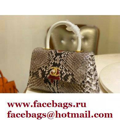 Chanel Python Coco Handle Small Flap Bag with Top Handle 08