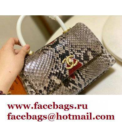 Chanel Python Coco Handle Small Flap Bag with Top Handle 08