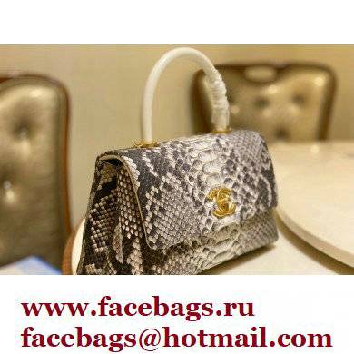 Chanel Python Coco Handle Small Flap Bag with Top Handle 13