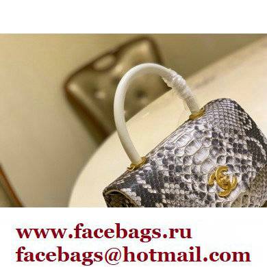 Chanel Python Coco Handle Small Flap Bag with Top Handle 13