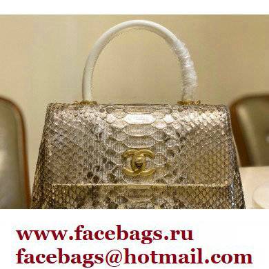 Chanel Python Coco Handle Small Flap Bag with Top Handle 24