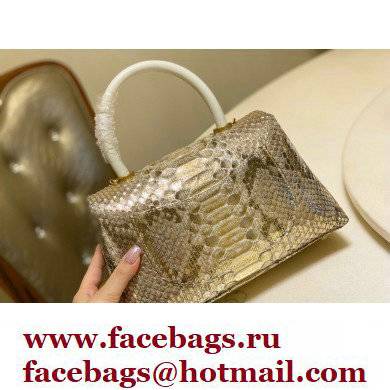 Chanel Python Coco Handle Small Flap Bag with Top Handle 24