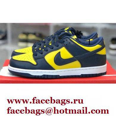 Nike Dunk Low Sneakers 45