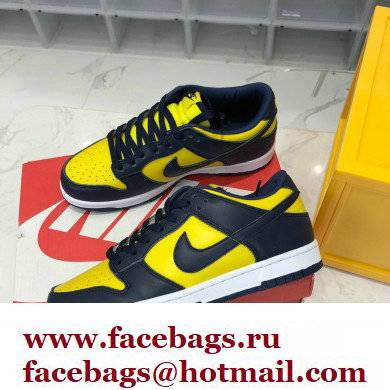 Nike Dunk Low Sneakers 45