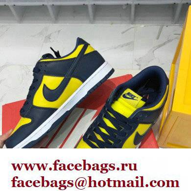 Nike Dunk Low Sneakers 45