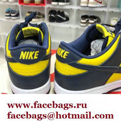 Nike Dunk Low Sneakers 45