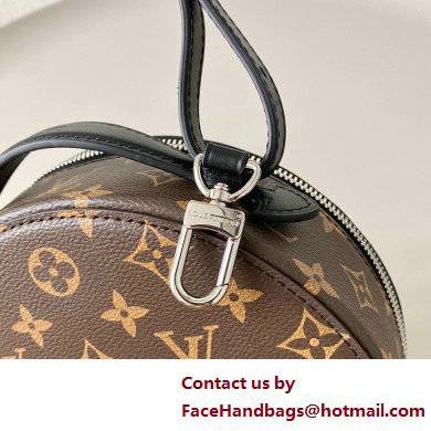 Louis Vuitton Monogram Canvas Audio Case Bag M46273