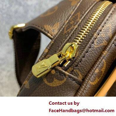 Louis Vuitton Monogram Canvas Bosphore Bum Bag M40108