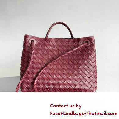 Bottega Veneta Intrecciato leather Medium Andiamo top handle Bag Burgundy