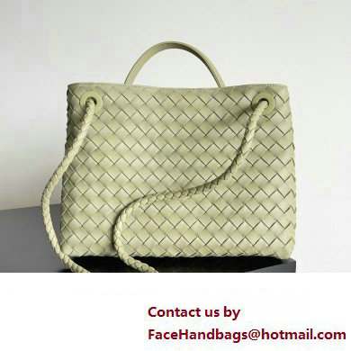 Bottega Veneta Intrecciato leather Medium Andiamo top handle Bag Light Green