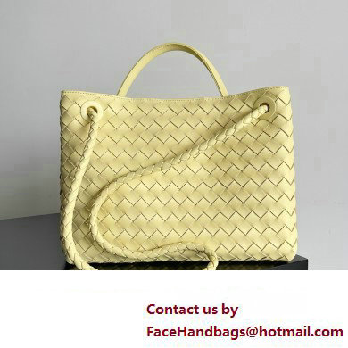 Bottega Veneta Intrecciato leather Medium Andiamo top handle Bag Yellow