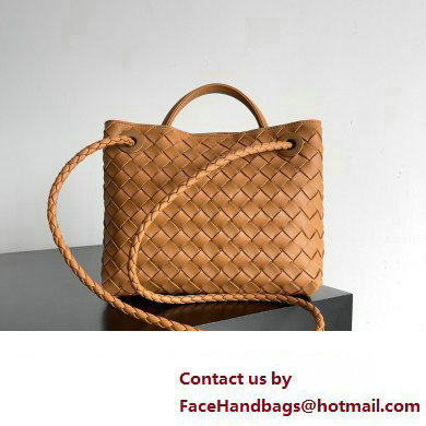 Bottega Veneta Intrecciato leather Small Andiamo top handle Bag Brown