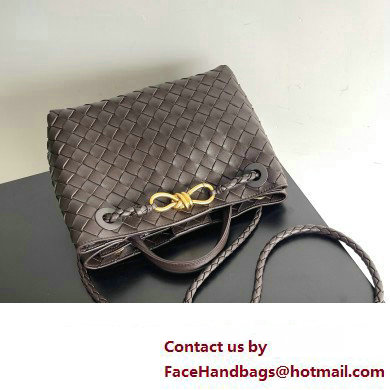 Bottega Veneta Intrecciato leather Small Andiamo top handle Bag Coffee